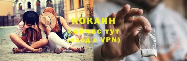 дживик Абаза