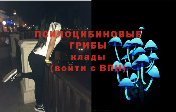 дживик Абаза