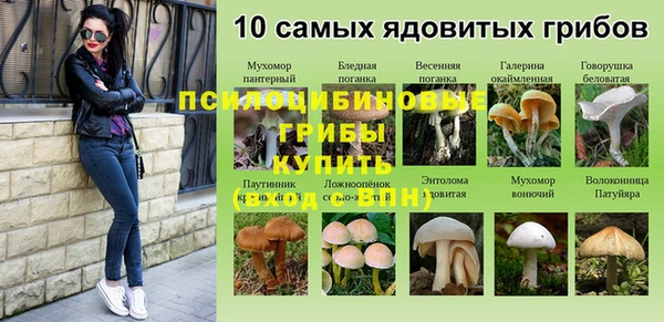 синтетический гашиш Абинск