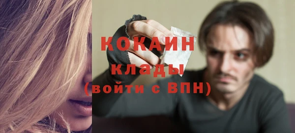 дживик Абаза