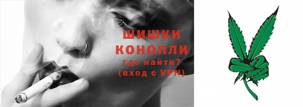 ешки Дмитровск