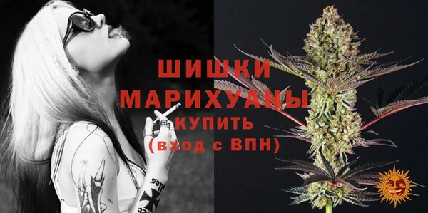 дживик Абаза