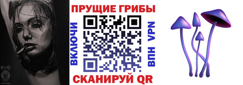 Псилоцибиновые грибы Psilocybine cubensis  закладки  Красновишерск 